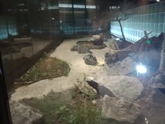 -水悦汇