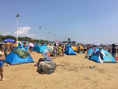 -碧海金沙