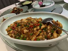 墨鱼仔-太极禅苑