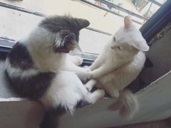 -五月木作·DIY木作文创体验店(北京路店)