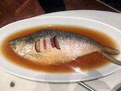 -蝶园·装修中(BFC外滩金融中心店)