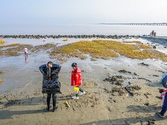 -南汇嘴观海公园