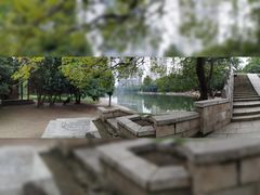 -渭滨公园