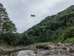 -四川省成都市彭州市白鹿镇