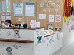 -谐和益家动物医院·免疫绝育·血液透析·宠保定点医院(高新伊藤分院)