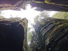 -梭布垭石林景区