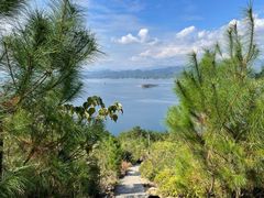 -千岛湖天屿景区