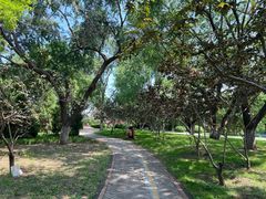 -永定河休闲森林公园