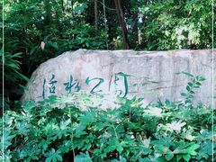 -成都市活水公园