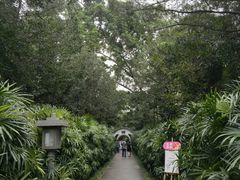 -广州兰圃