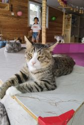 -萌宠亲子动物乐园(槐房万达店)