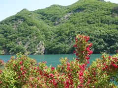 -大连天门山国家森林公园