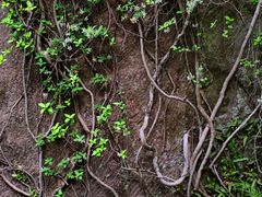 -浮山风景名胜区