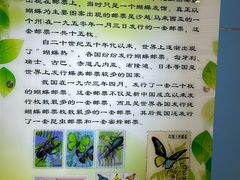 -上海昆虫博物馆