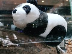 -红辣椒·川菜·火锅(张杨路店)