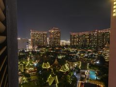 -三亚湾红树林度假世界(木棉酒店)