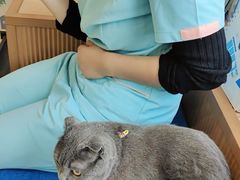 -芭比堂动物医院·犬猫全科·异宠专科(雁塔分院)