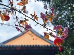 -龙华寺