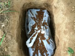 -瑞鹏宠物医院·爱宠堂·骨外专科(西荷分院)