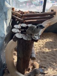 -Zoolung Zoolung动物主题公园(海信广场店)