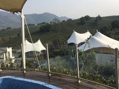 -帐篷客·溪龙茶谷度假酒店