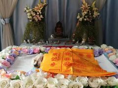 -彩虹桥宠物火化殡葬善终服务(金乐大厦店)