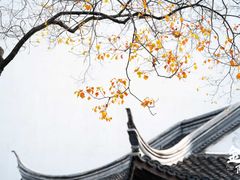 -老门东历史文化街区