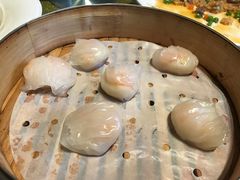 -碧丽宫大酒店(召稼楼店)