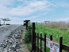 -涉地可支