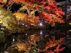 -醍醐寺