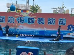 -秦皇岛新澳海底世界