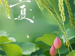 -顺德佬(石厦店)