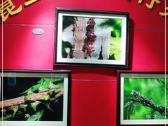 -上海昆虫博物馆