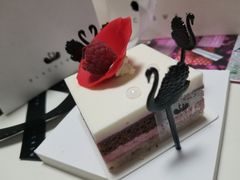-BLACKSWAN黑天鹅(环球店)
