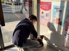 -关爱宠物医院·猫科中心·消化科(滨湖万达分院)