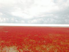 -红海滩国家风景廊道