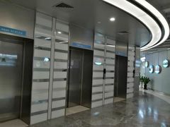 -上海市东方医院(总院)