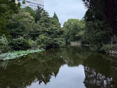 -叶家花园