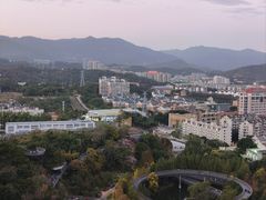 -福道