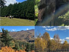 -五营红松林海景区