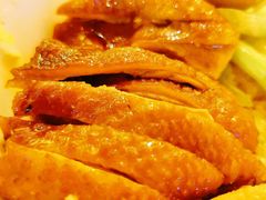 金奖卤鹅肉饭-陈鹏鹏潮汕菜(宝安机场T3航站楼店)