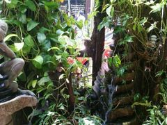 -自然餐厅(Phuket)