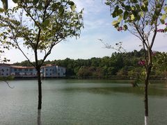 -广东财经大学(佛山校区)