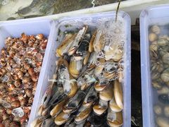 -拉威海鲜市场
