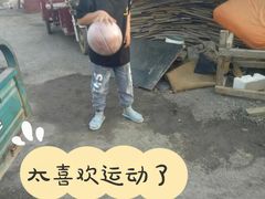 -东方启明星篮球培训(击掌校区)