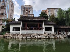 -团结湖公园