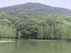 -广州市石门国家森林公园
