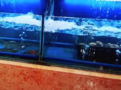 -芭菲盛宴·环球美食(北城国际店)