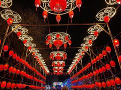 -青龙湖公园