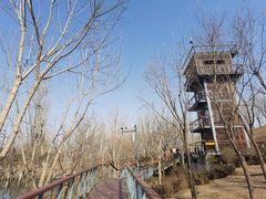 -东郊湿地公园